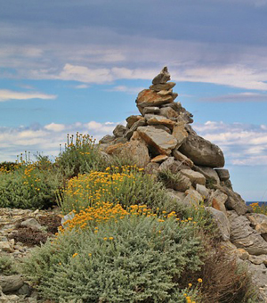 在线电话轰炸网页版