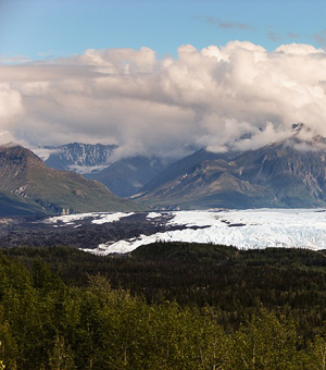 短信在线呼死你2023